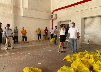 El Ayuntamiento de Orihuela contrata a 99 desempleados agrícolas