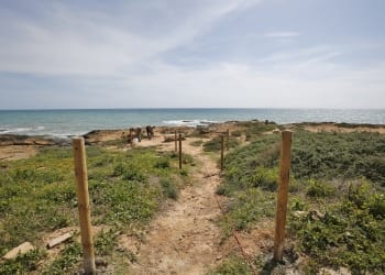 «Hay varias especies animales y vegetales que están amenazadas»