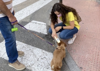 Alcoy tiene un ‘censo’ de casi 6.000 mascotas