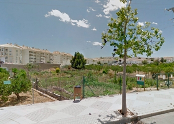 Altea reanuda la formación en agricultura ecológica para huertos