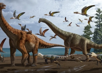 Descubiertas dos nuevas especies de dinosaurios de gran tamaño
