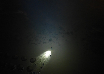 La Policía Local de Elche precita un local por venta de alcohol a menores