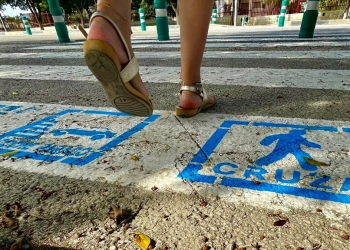 Elche incluye pictogramas en sus pasos de peatones