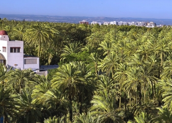 El turismo en Elche crece un 30% respecto a 2019