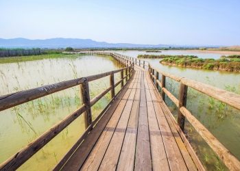 Tu plan del finde: Baño de naturaleza en los parques naturales