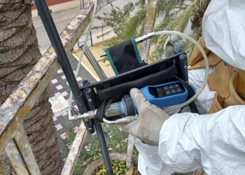 Orihuela intensifica el control de plagas en el Palmeral