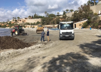 Orihuela reinicia las labores de recogida de posidonia