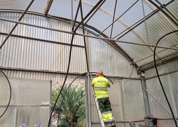 Orihuela renueva el invernadero municipal del Palmeral