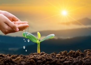 Acompasar la factura de agua con los ingresos personales: ventajas de la opción de facturación mensual para el consumidor