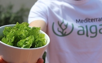 «Las algas son un recurso natural con un potencial enorme»