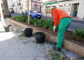 El Plan de Empleo Local 2021, en el aire pese a su gran necesidad