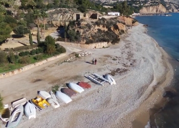 El verano también es para las mascotas