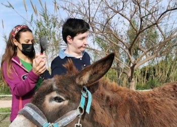 «El burro es sociable, dócil, paciente y tiene buena memoria»