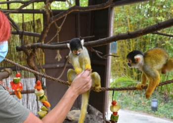 Terra Natura Benidorm activa el protocolo de prevención para los animales contra la ola de calor