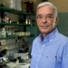 “El cáncer es una consecuencia de nuestra propia biología y siempre va a estar ahí”