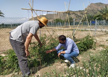 La Diputación de Alicante concede dos subvenciones para los Huertos Urbanos de Orihuela