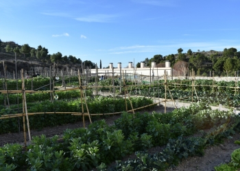 Los huertos urbanos de Ferrusa se amplían