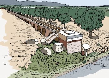 Salinas, la laguna ecológica