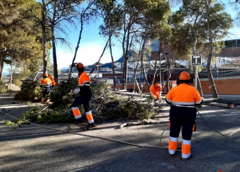 Alcoy se beneficia de 1,5 millones de euros para planes de empleo