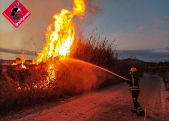 «El 95 por ciento de los incendios son causados por el hombre»