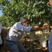 La Diputación apoya a los productores de uva en sus reivindicaciones