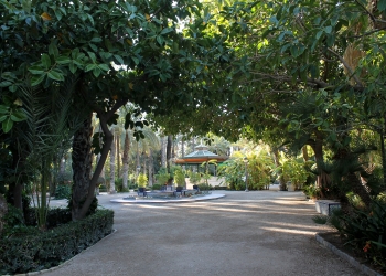 Elche Ayuntamiento flexibiliza los criterios en la licitación del restaurante del Parque Municipal