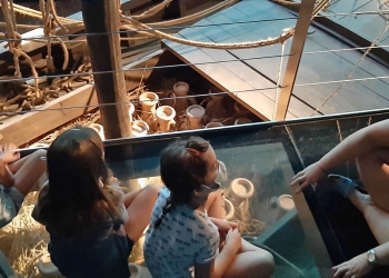 El MARQ cierra su Campaña de Verano con la participación de 190 niños y niñas