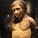 Los neandertales ya comían aves