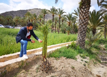 «Estamos en un momento idóneo para reforzar el vínculo entre Orihuela y el Palmeral»