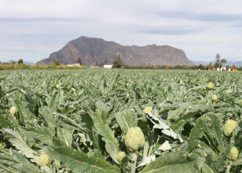 La Generalitat avanza en la elaboración del PAT de la Vega Baja
