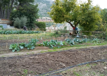 Alcoy creará un nuevo huerto urbano en la calle Víctor Espinós