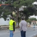Villena sanea el arbolado de distintos puntos de la ciudad