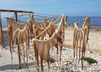 Tu plan del finde: El encanto marinero de la Costa Blanca