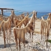 Tu plan del finde: El encanto marinero de la Costa Blanca