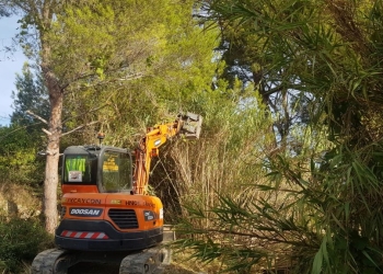 Benidorm acomete la limpieza de los barrancos Barceló y Derramador
