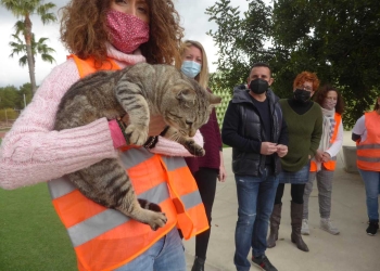 La Nucía recibe una subvención de 3.294 euros de la Diputación para la esterilización de gatos