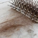 La relación entre el estrés y la caída del cabello