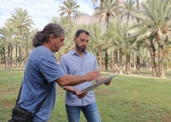 Orihuela organiza una jornada sobre la recuperación, presente y futuro del Palmeral