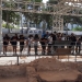 L’Alfàs retoma las visitas escolares al Museo Villa Romana de l’Albir, a la Serra Gelada y al Faro