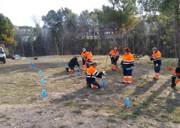 Alcoy crea más de 80 puestos de trabajo a través de Labora