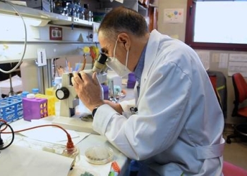 csic-cientifico-miguel-angel-pañalva-orina-negra-011021