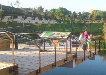 Alicante quiere pintar su corazón de verde