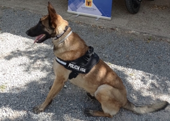 La Policía Local de Altea incrementa un 20% las actuaciones por tenencia y consumo de drogas