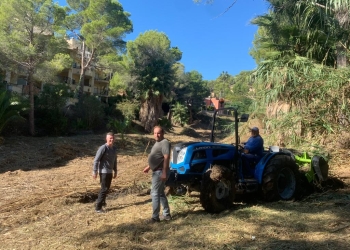 Medio Ambiente realiza labores de desbroce y limpieza en el Barranc de la Galera