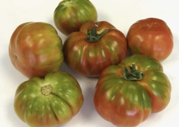 Mutxamel organiza una jornada de fomento del producto local