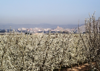 Villena, ciudad inteligente