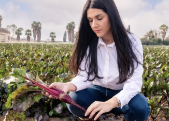 Cosméticos naturales sostenibles de las tierras oriolanas