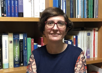 «La experiencia visual se construye desde nuestro cerebro»