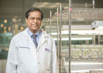 Un chicle, nuevo enemigo de la Covid