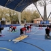 Las escuelas deportivas municipales lucen en el Esport Nadal